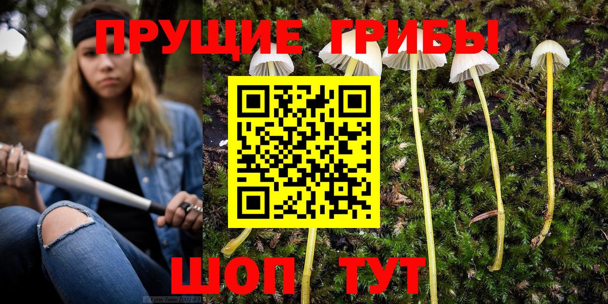 Галлюциногенные грибы Psilocybine cubensis Бузулук