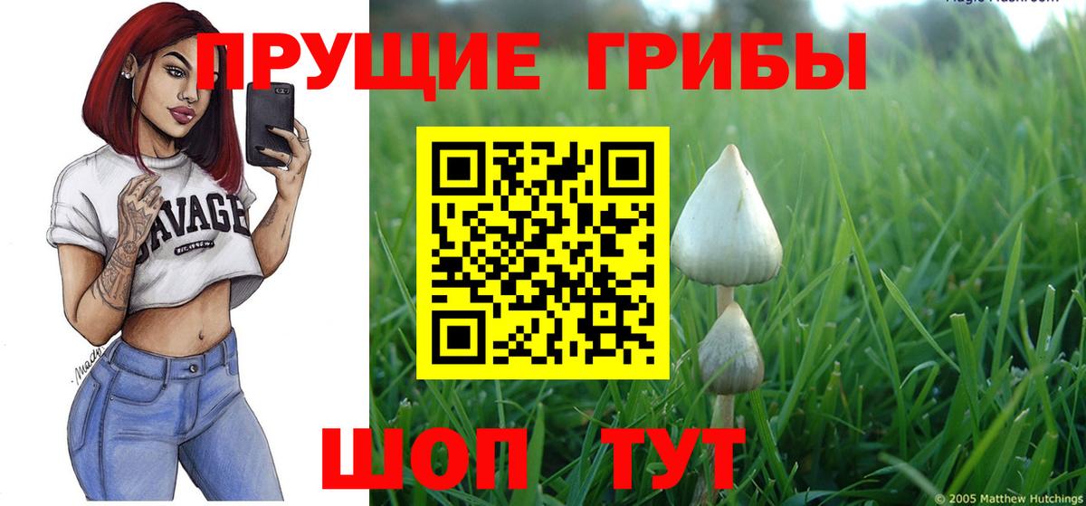 Псилоцибиновые грибы ЛСД  Псилоцибиновые грибы MAGIC MUSHROOMS  Бузулук  Вход с VPN 